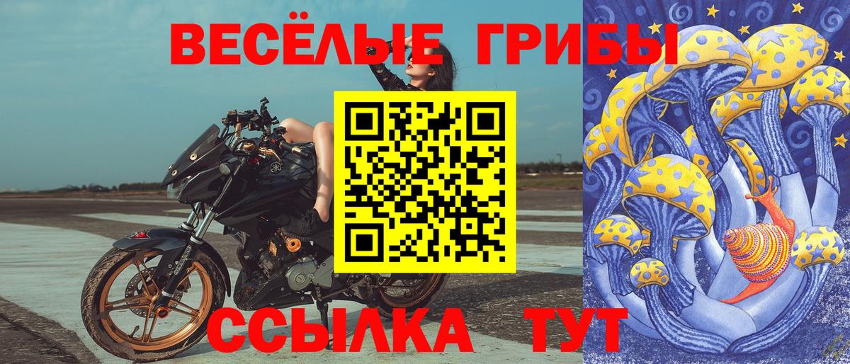 Псилоцибиновые грибы GOLDEN TEACHER  Вход с VPN  Тара 