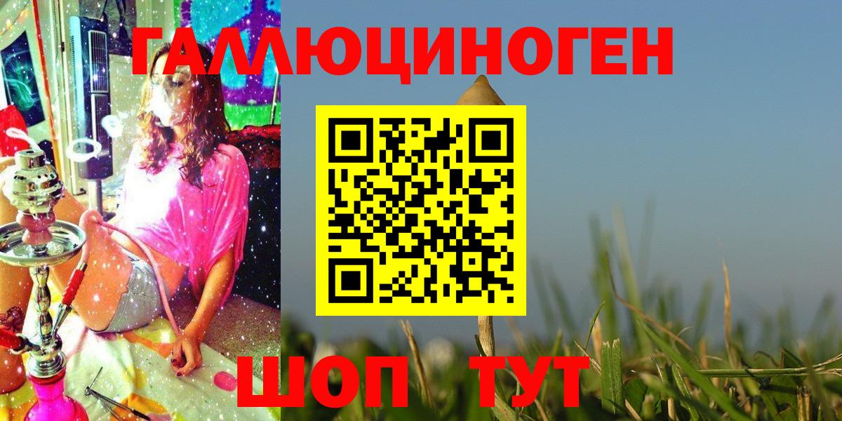 Галлюциногенные грибы Psilocybe Тара